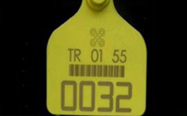 GSM-U 紫外激光打標機